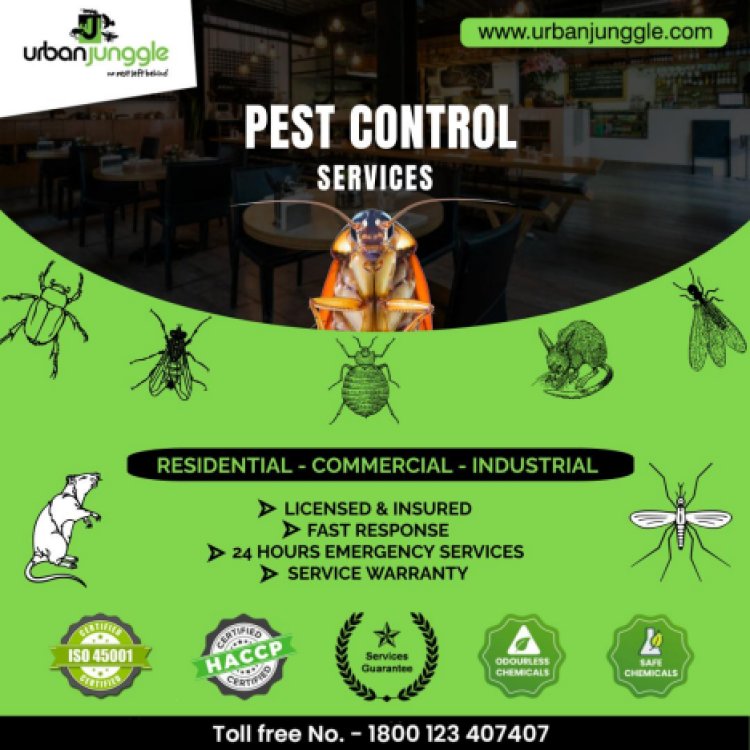 "Urban Junggle: India's Leading Pest Management Company Providing Safe, Sustainable, and Certified Solutions"