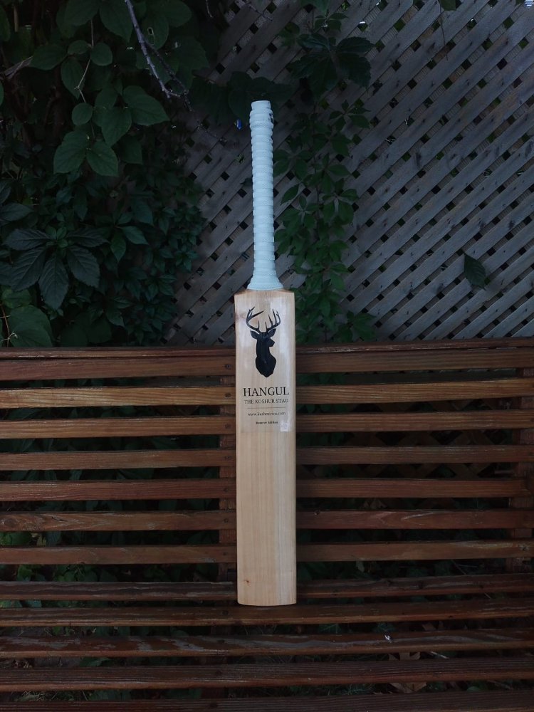 "Choosing the Perfect Cricket Bat from Kashmir: A Guide by Kashmirica"