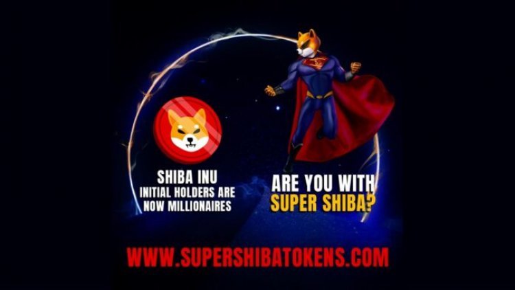 Supershiba-recreating chance for the one who missed shiba inu at early stage