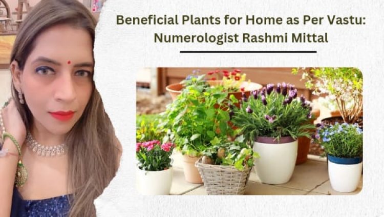 Beneficial Plants for Home as Per Vastu: Numerologist Rashmi Mittal Highlights the Importance of Greenery in Vastu Shastra.
