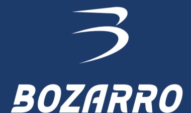 Bozarro: A Story of Inclusion and Movement