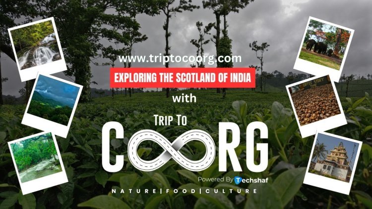 Unravel the Secrets of Coorg with Triptocoorg.com: The No.1 OTA Platform of Coorg for Unforgettable Travel Experiences