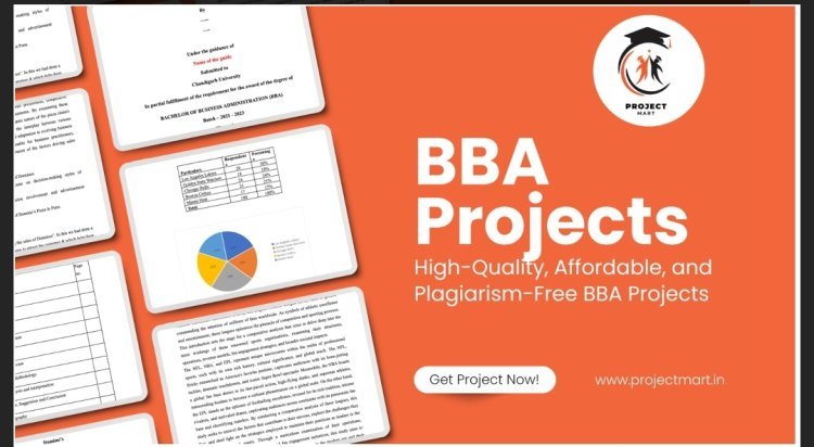 BBA Projects: Best Service Providers to Guide Your Research