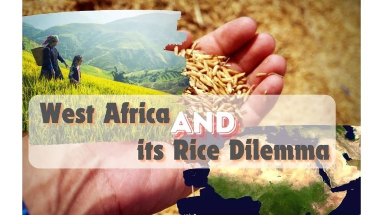 West Africa's Rice Conundrum by Vivek Gahlaut, Co-Founder - Terra Firma Commodities, Dubai UAE