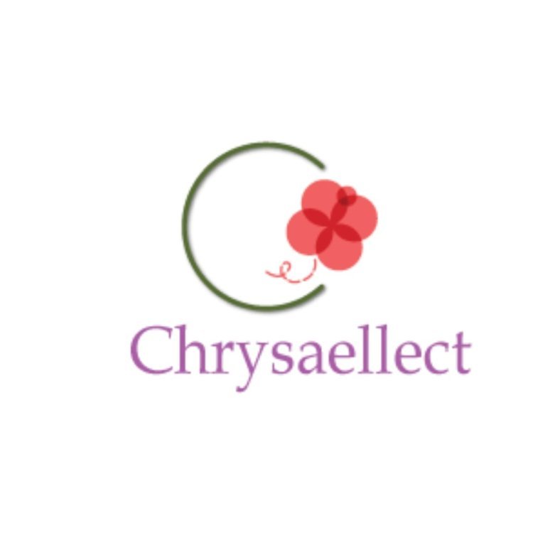 Pioneering Change in Early Education: Chrysaellect Education Solutions' Mission to Empower Preschools