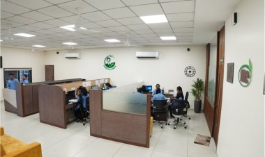 Maximizing Crop Productivity: Cropcrest's Role in Sustainable Agricultural Solutions