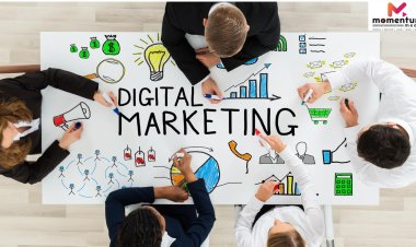 Momentum Media: Leading Digital Marketing Agency in Calicut, Kerala