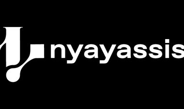 Born from the Courtroom: How NyayAssist AI Took Shape from Real Legal Challenges