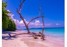 AndamanTravelCare: Port Blair-Based Local Andaman Tour Operator Launches Premium Andaman Tour Packages from Visakhapatnam