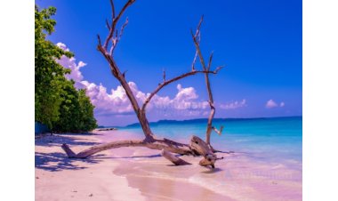 AndamanTravelCare: Port Blair-Based Local Andaman Tour Operator Launches Premium Andaman Tour Packages from Visakhapatnam