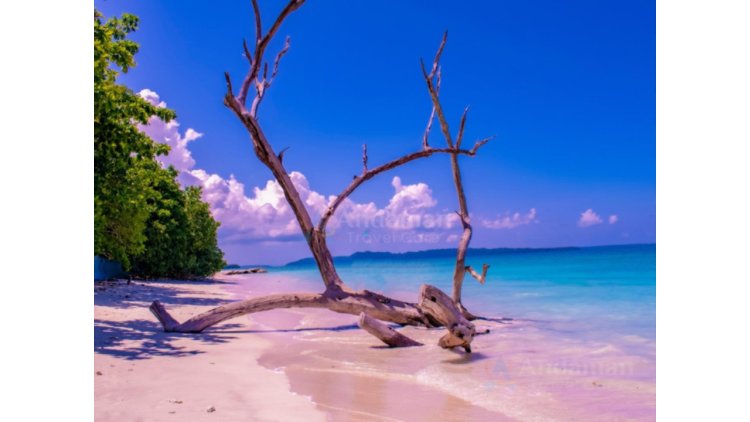 AndamanTravelCare: Port Blair-Based Local Andaman Tour Operator Launches Premium Andaman Tour Packages from Visakhapatnam